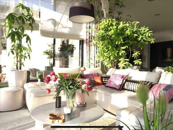 Maison à vendre |  Saint-Gély-du-Fesc |  13 pièces | 750 m²