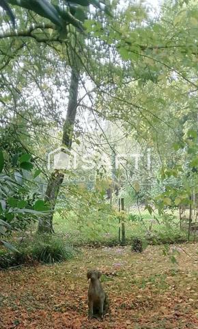 7 chambres, Fibre optique, tout à l'égout