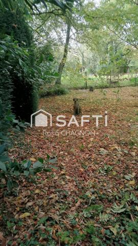 7 chambres, Fibre optique, tout à l'égout