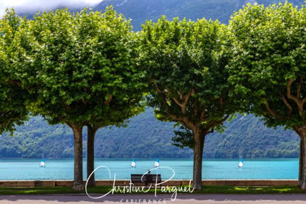Magnifique Appartement 3 pièces - 78m2 + 15m2 Terrasse - Côté LAC - AIX LES BAINS