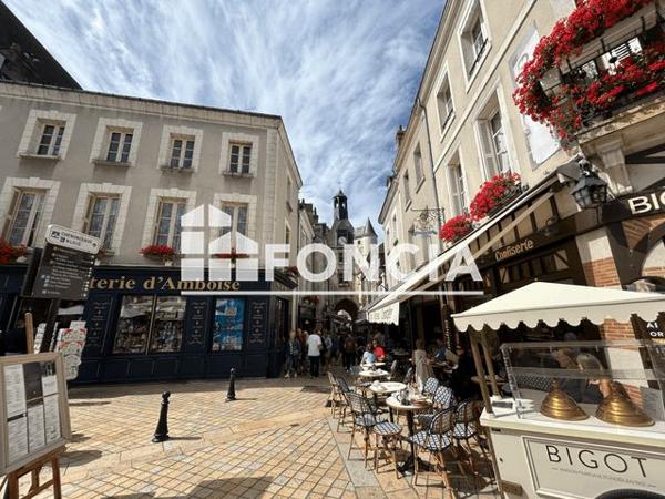 À vendre Appartement 6 pièces 168 m² - Amboise 37400