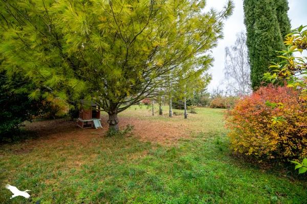 Maison à vendre |  Sainte-Maure-de-Touraine |  5 pièces | 264 m²