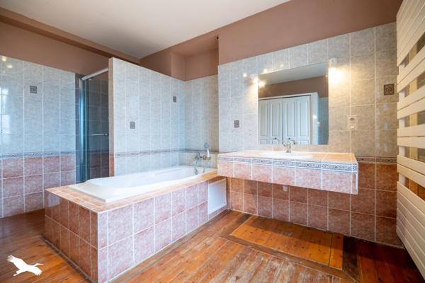 Maison à vendre |  Sainte-Maure-de-Touraine |  5 pièces | 264 m²