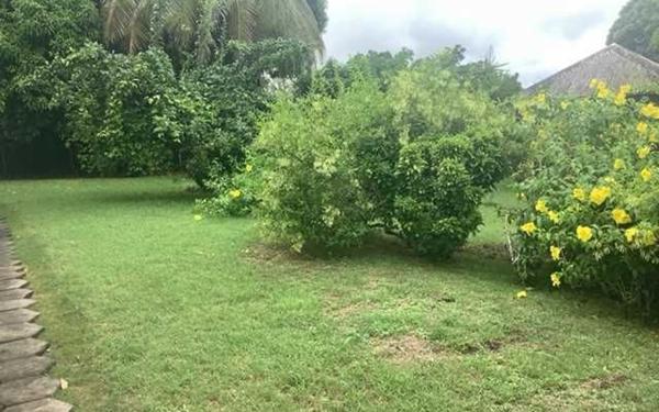 Maison à louer    3 pièces •  Sainte-Anne