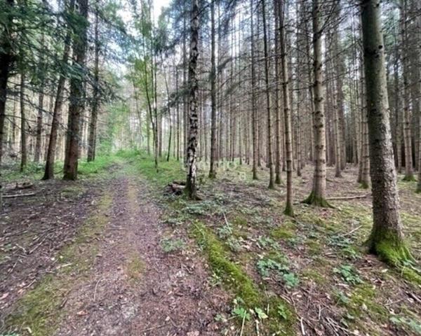 Vente plan d'eau 54480 Cirey Sur Vezouze