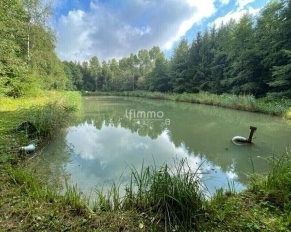 Vente plan d'eau 54480 Cirey Sur Vezouze