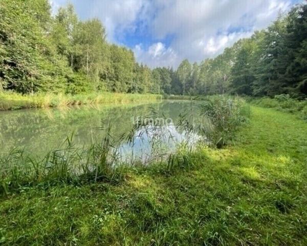 Vente plan d'eau 54480 Cirey Sur Vezouze