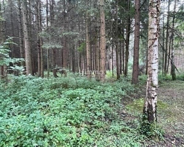 Vente plan d'eau 54480 Cirey Sur Vezouze