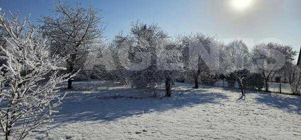 Terrain à bâtir de 638 m² – Créez votre havre de paix à Savigné-l’Évêque