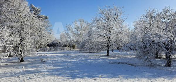 Terrain à bâtir de 638 m² – Créez votre havre de paix à Savigné-l’Évêque