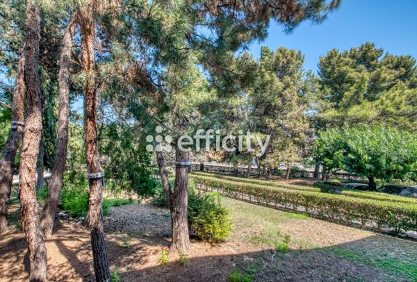 Appartement 3 pièces - 60 m² Exclusivité efficity