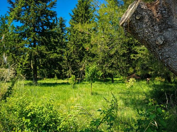 Sur un vaste terrain Arboré, une maison à voir
