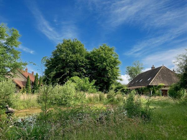 Magnifique ensemble Bressan