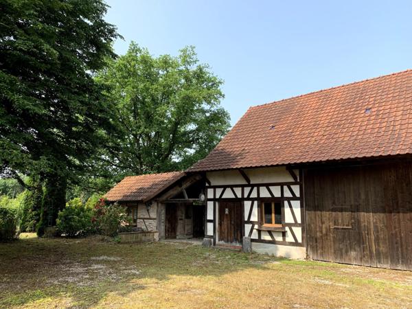 Magnifique ensemble Bressan