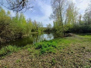 Terrain de loisirs - Bois - Etang à vendre à Amiens dans la Somme (80000), ref : 80011-5566 Longpré