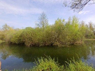 Terrain de loisirs - Bois - Etang à vendre à Amiens dans la Somme (80000), ref : 80011-5566 Longpré