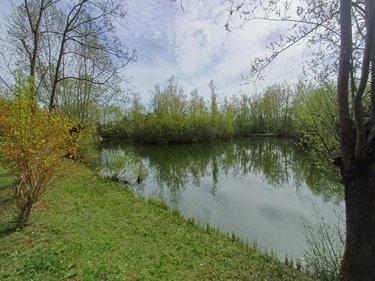 Terrain de loisirs - Bois - Etang à vendre à Amiens dans la Somme (80000), ref : 80011-5566 Longpré