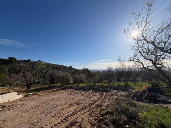 Clermont-l’Hérault – Terrains à bâtir avec vue dégagée