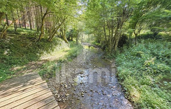 Idéal propriétaires de chevaux/animaux