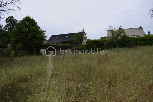 À Saint-Hilaire-Saint-Florent, aux portes de Saumur, découvrez ce terrain constructible de 2 361 m².
Idéalement situé dans un environnement calme et verdoyant, à proximité immédiate des bords de Loire et du centre-ville de Saumur.

Situé en zone Ub (zone urbaine pavillonnaire), ce terrain offre un fort potentiel de valorisation, avec un certificat d’urbanisme réalisable permettant la construction de trois maisons individuelles.

Libre de constructeur, il laisse place à tous types de projets, que ce soit pour une opération d’investissement, une division parcellaire ou un projet de construction sur mesure.

Le terrain, non viabilisé, bénéficie des réseaux en bord de rue (eau, électricité, tout-à-l’égout), facilitant son aménagement.

Une maison en pierre d’environ 63 m² est actuellement implantée sur la parcelle. Elle se compose de deux pièces, dont une chambre, avec cuisine, salle d’eau et WC. Plusieurs options s’offrent à vous : rénovation (DPE E), revente ou démolition dans le cadre d’un nouveau projet.

Les informations sur les risques auxquels ce bien est exposé sont disponibles sur le site Géorisques : www.georisques.gouv.fr

Un bien rare sur le secteur, offrant de nombreuses perspectives d’exploitation.
À découvrir sans tarder !
👉 “Une opportunité particulièrement adaptée aux investisseurs ou aménageurs recherchant une opération à fort potentiel sur le secteur saumurois.