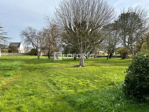 Achat terrain Pleubian - 600 m² - 55 500 €