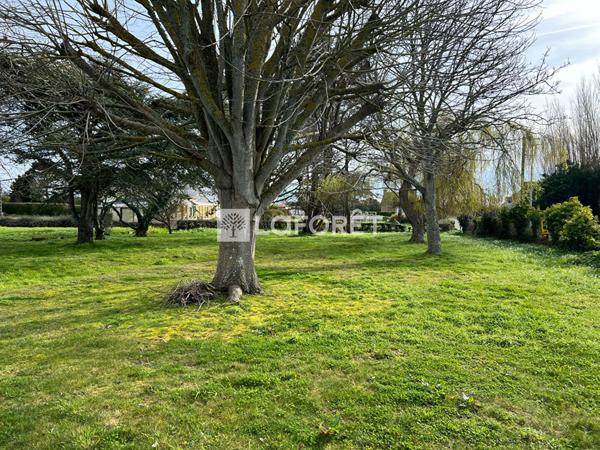 Achat terrain Pleubian - 600 m² - 55 500 €