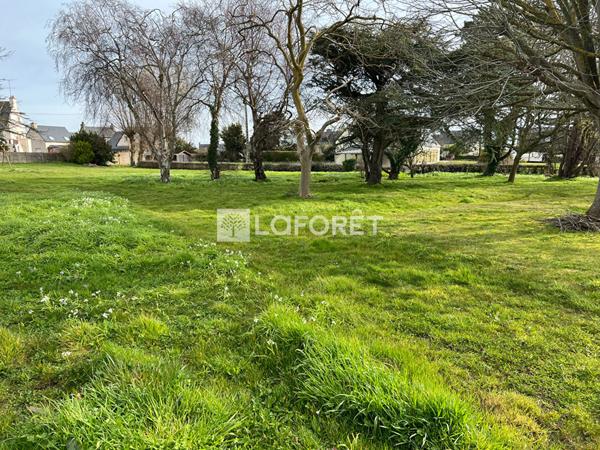 Achat terrain Pleubian - 600 m² - 55 500 €