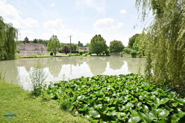 Propriete à vendre 7 pièces SELLES SUR CHER (41)