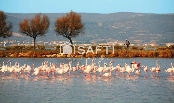 VENTE HOTEL BUREAU 2** PROXIMITÉ BORD DE MER / MONTPELLIER