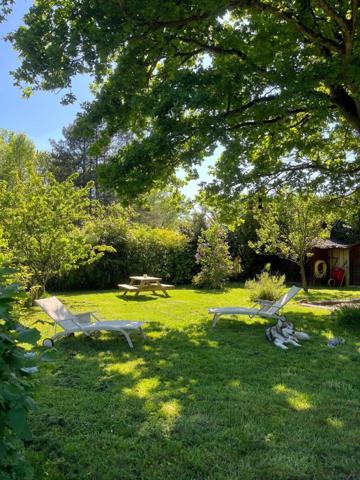 Coup de coeur assuré pour cette nouveauté!