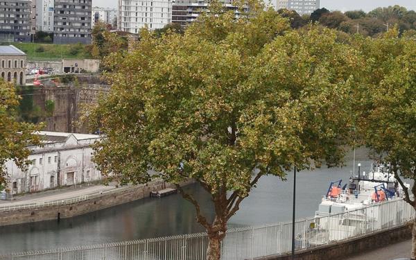 Appartement à louer    3 pièces •  Brest