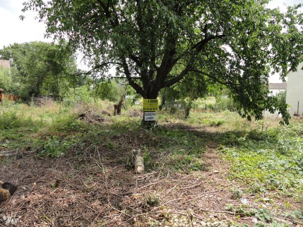 NEUILLY SAINT FRONT. Terrain à bâtir de 680 m² clos de grillage.