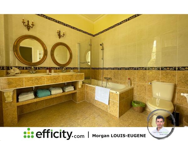 Maison 30 pièces - 1555 m² Bien prestige