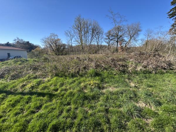 Terrain