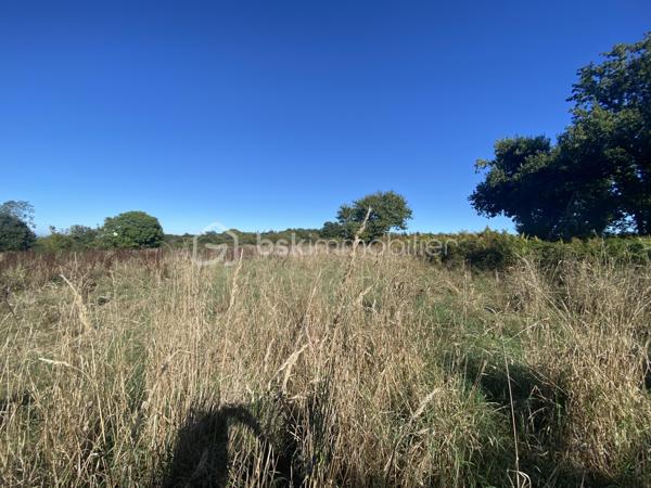 Très joli terrain agricole, entouré d’arbres, loin de la circulation.