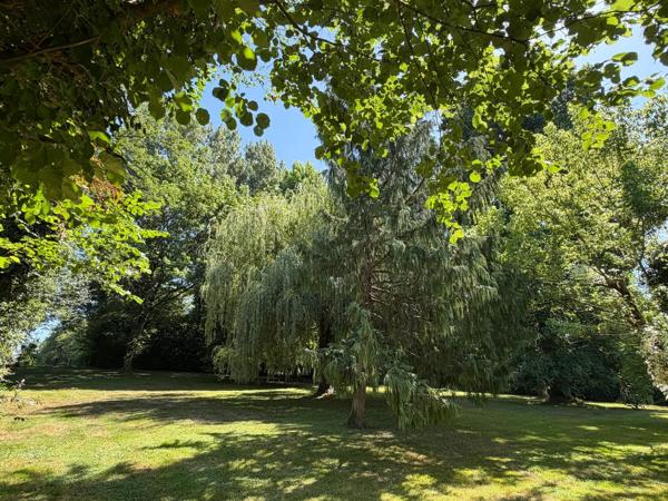 Charmante ferme Bressane avec joli parc