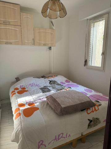 Appartement La Grande Motte 2 pièce(s) 34 m2