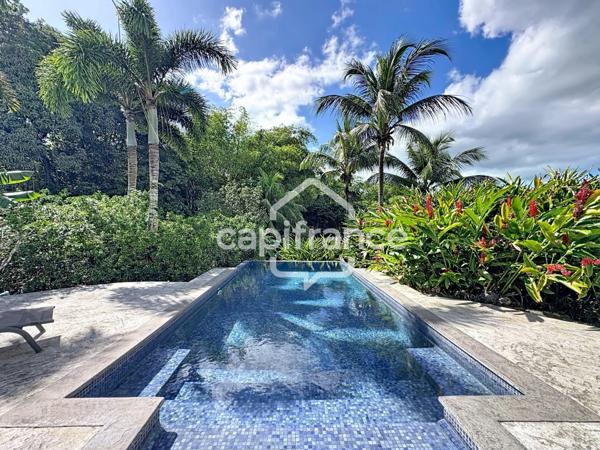 Propriété de standing avec villa, 2 bungalows indépendants et double piscine – Lamentin (97129)
