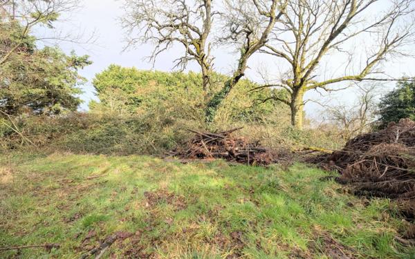 Maison à vendre    3 pièces • 71,83 m2 Cernay