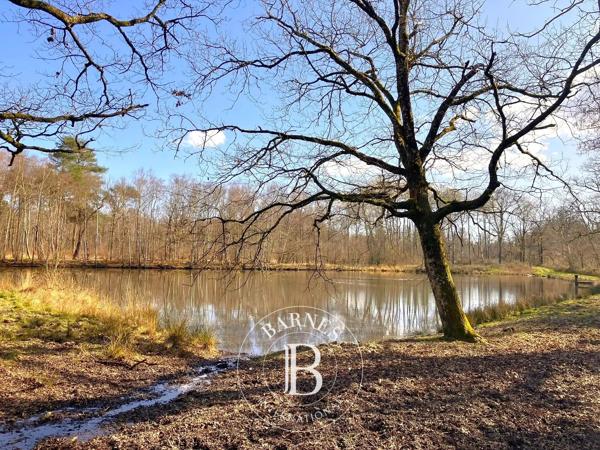 Lamotte-Beuvron, Propriété   à vendre