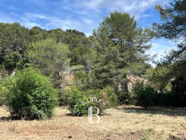 Mougins, Terrain constructible  4 996 m² à vendre