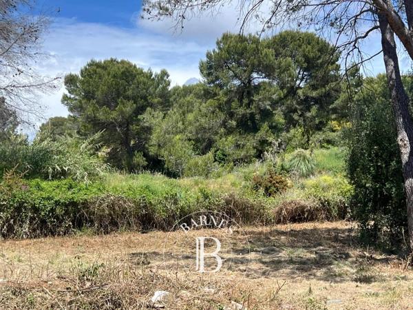Mougins, Terrain constructible  4 996 m² à vendre