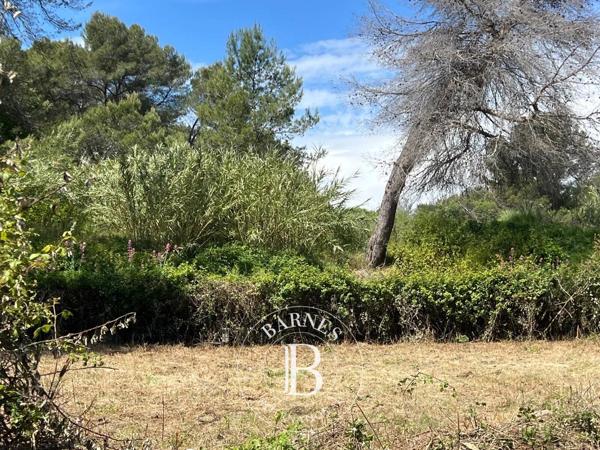 Mougins, Terrain constructible  4 996 m² à vendre