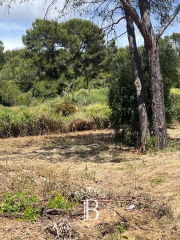Mougins, Terrain constructible  4 996 m² à vendre
