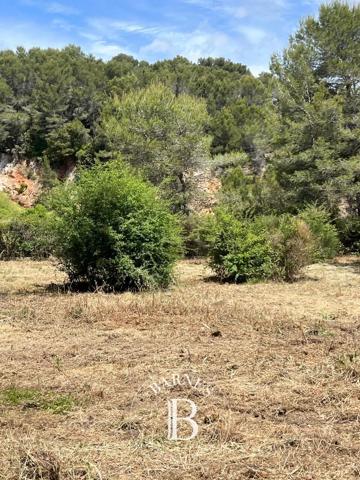 Mougins, Terrain constructible  4 996 m² à vendre