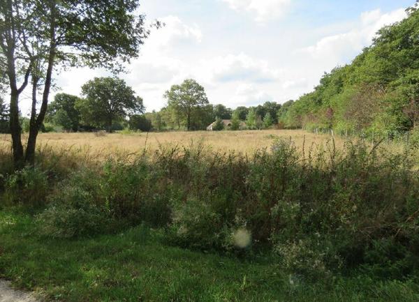 Terrain à vendre    Clémont