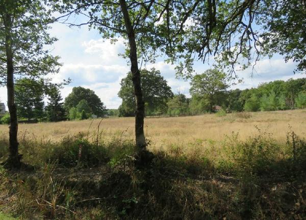 Terrain à vendre    Clémont