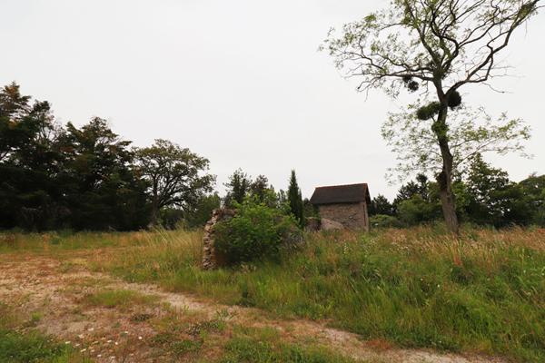 Demeure de prestige Les Sorinieres 15 pièce(s) 526 m2