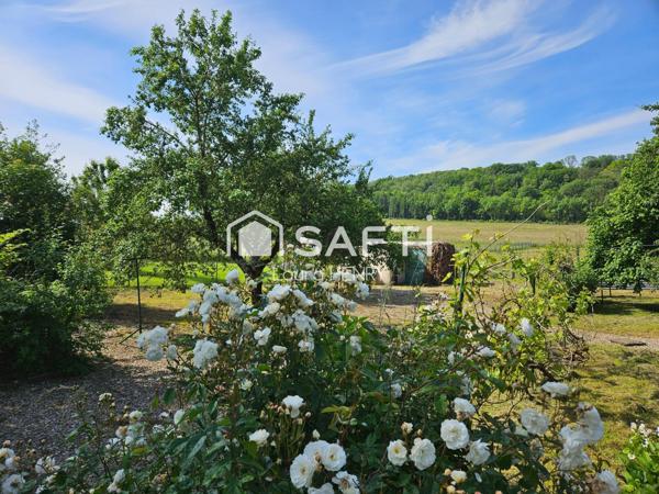 Maison individuelle de plain pied à renover, grand terrain arboré.