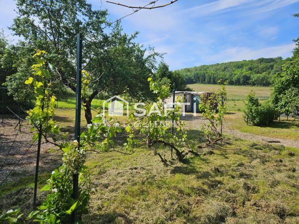 Maison individuelle de plain pied à renover, grand terrain arboré.